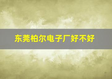 东莞柏尔电子厂好不好