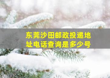 东莞沙田邮政投递地址电话查询是多少号