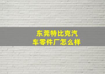 东莞特比克汽车零件厂怎么样