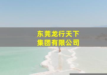 东莞龙行天下集团有限公司