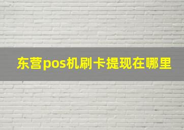 东营pos机刷卡提现在哪里