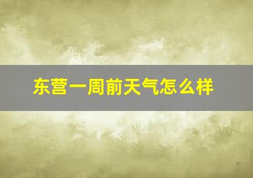 东营一周前天气怎么样