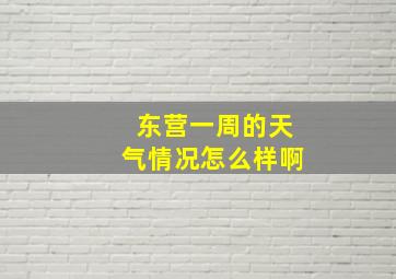 东营一周的天气情况怎么样啊