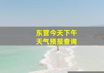 东营今天下午天气预报查询