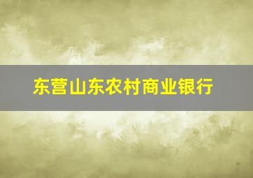 东营山东农村商业银行