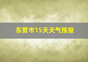 东营市15天天气预报