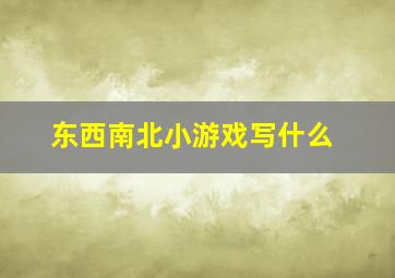 东西南北小游戏写什么