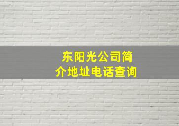 东阳光公司简介地址电话查询