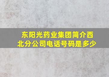 东阳光药业集团简介西北分公司电话号码是多少