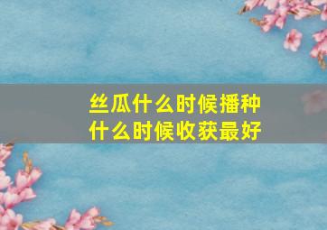 丝瓜什么时候播种什么时候收获最好