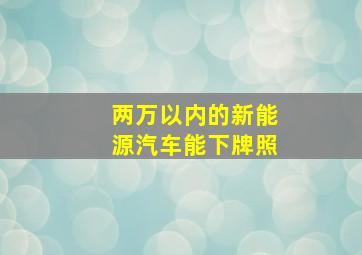 两万以内的新能源汽车能下牌照