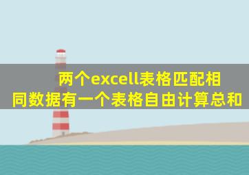 两个excell表格匹配相同数据有一个表格自由计算总和