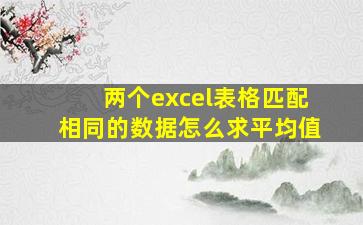 两个excel表格匹配相同的数据怎么求平均值