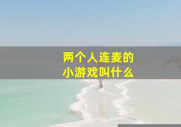 两个人连麦的小游戏叫什么