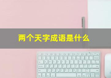 两个天字成语是什么