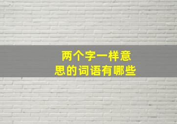 两个字一样意思的词语有哪些