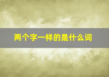 两个字一样的是什么词