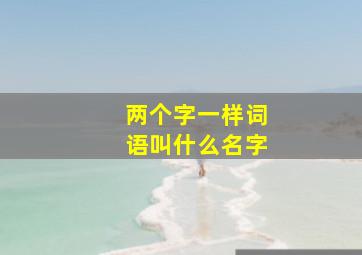 两个字一样词语叫什么名字