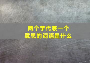 两个字代表一个意思的词语是什么