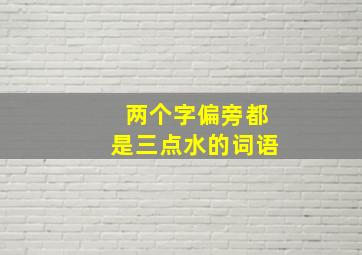 两个字偏旁都是三点水的词语