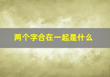 两个字合在一起是什么