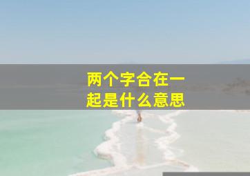 两个字合在一起是什么意思