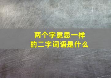 两个字意思一样的二字词语是什么