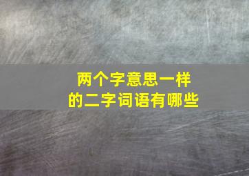 两个字意思一样的二字词语有哪些