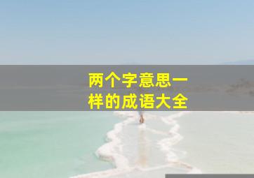 两个字意思一样的成语大全