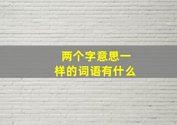 两个字意思一样的词语有什么