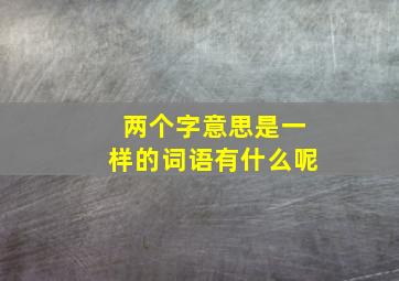 两个字意思是一样的词语有什么呢