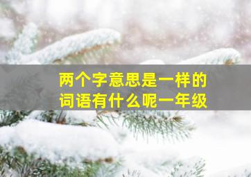 两个字意思是一样的词语有什么呢一年级