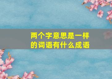 两个字意思是一样的词语有什么成语