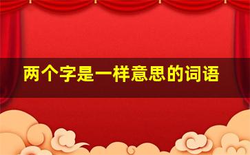 两个字是一样意思的词语