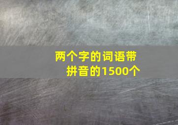 两个字的词语带拼音的1500个