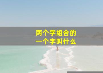 两个字组合的一个字叫什么