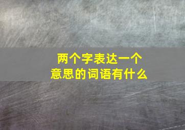 两个字表达一个意思的词语有什么