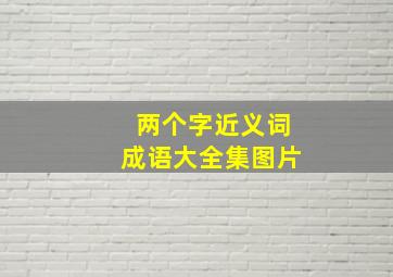 两个字近义词成语大全集图片