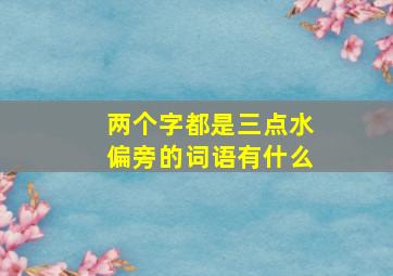 两个字都是三点水偏旁的词语有什么