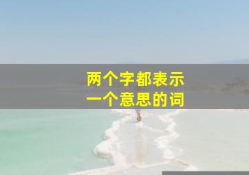 两个字都表示一个意思的词