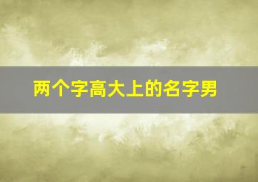 两个字高大上的名字男