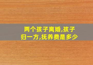 两个孩子离婚,孩子归一方,抚养费是多少