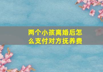 两个小孩离婚后怎么支付对方抚养费