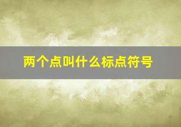 两个点叫什么标点符号