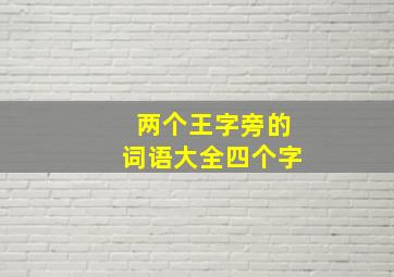 两个王字旁的词语大全四个字