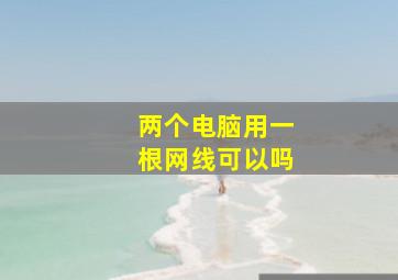 两个电脑用一根网线可以吗