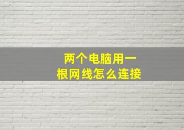 两个电脑用一根网线怎么连接