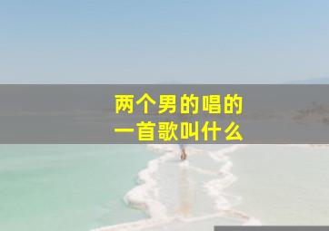 两个男的唱的一首歌叫什么