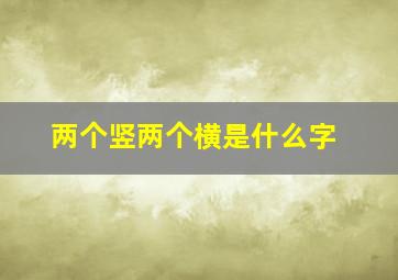 两个竖两个横是什么字