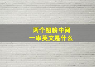 两个翅膀中间一串英文是什么